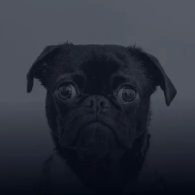 Uh oh. That page doesn't exist. - 斗鱼tv